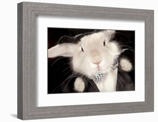 Portrait Of Cute Rabbit In Top Hat And Bow-Tie. Isolated On Dark Background-PH.OK-Framed Photographic Print