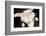 Portrait Of Cute Rabbit In Top Hat And Bow-Tie. Isolated On Dark Background-PH.OK-Framed Photographic Print