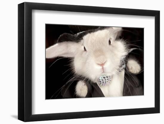 Portrait Of Cute Rabbit In Top Hat And Bow-Tie. Isolated On Dark Background-PH.OK-Framed Photographic Print