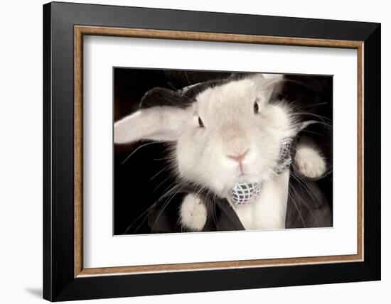 Portrait Of Cute Rabbit In Top Hat And Bow-Tie. Isolated On Dark Background-PH.OK-Framed Photographic Print