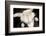 Portrait Of Cute Rabbit In Top Hat And Bow-Tie. Isolated On Dark Background-PH.OK-Framed Photographic Print