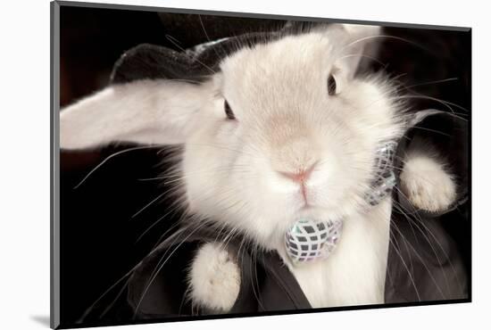 Portrait Of Cute Rabbit In Top Hat And Bow-Tie. Isolated On Dark Background-PH.OK-Mounted Photographic Print