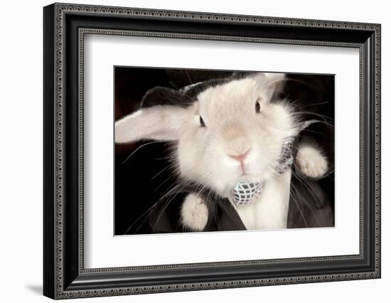 Portrait Of Cute Rabbit In Top Hat And Bow-Tie. Isolated On Dark Background-PH.OK-Framed Photographic Print