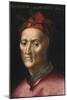 Portrait of Dante Alighieri (1265-1321) - Peinture Anonyme Du 16Eme Siecle - Collection Privee-Anonymous Anonymous-Mounted Giclee Print