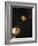 Portrait of Desiderius Erasmus (1466-1536)-Hans Holbein the Younger-Framed Giclee Print