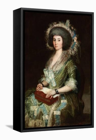 Portrait of Dona Manuela Camas, 1795 (Oil on Canvas)-Francisco Jose de Goya y Lucientes-Framed Premier Image Canvas