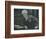 'Portrait of Dr. Fridtjof Nansen', c1920-Unknown-Framed Photographic Print