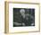 'Portrait of Dr. Fridtjof Nansen', c1920-Unknown-Framed Photographic Print