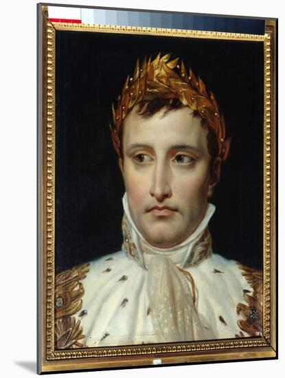 Portrait of Emperor Napoleon I (1769-1821) Painting by Jacques Louis David (1748-1825) 19Th Century-Jacques Louis David-Mounted Giclee Print