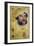 Portrait of Ernest Confessor-Lucas Cranach the Elder-Framed Giclee Print