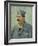 Portrait of Etienne-Lucien Martin, 1887-Vincent van Gogh-Framed Giclee Print