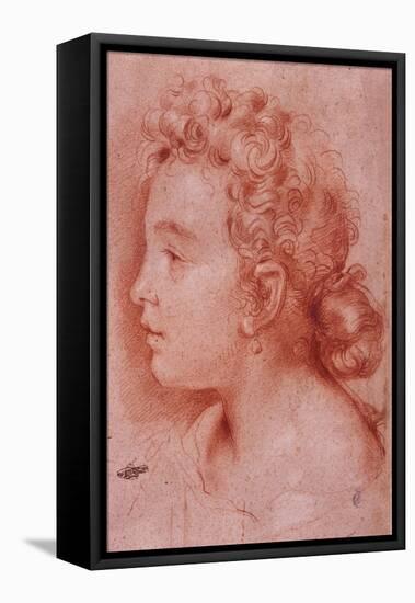 Portrait of Faustina Maratti-Carlo Maratta-Framed Premier Image Canvas