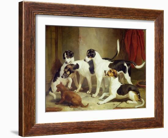 Portrait of Favorite Foxhounds-Thomas Woodward-Framed Giclee Print