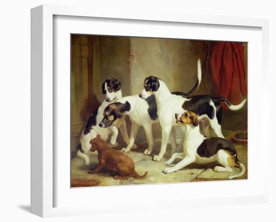 Portrait of Favorite Foxhounds-Thomas Woodward-Framed Giclee Print