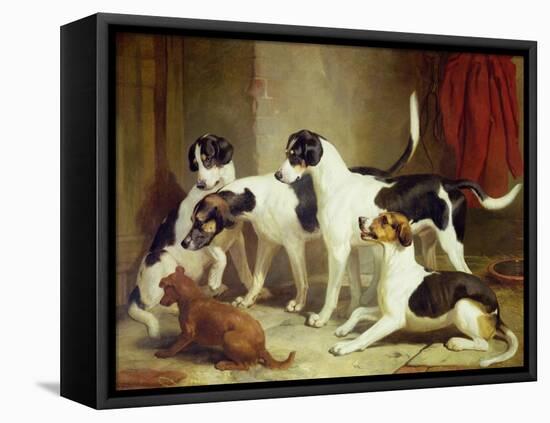 Portrait of Favorite Foxhounds-Thomas Woodward-Framed Premier Image Canvas