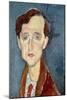 Portrait of Franz Hellens, 1919-Amedeo Modigliani-Mounted Giclee Print