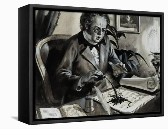 Portrait of Franz Schubert-Andrew Howat-Framed Premier Image Canvas