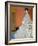 Portrait of Fritza Riedler, 1906-Gustav Klimt-Framed Giclee Print