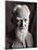 Portrait of George Bernard Shaw, February 1933-English Photographer-Mounted Photographic Print