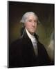 Portrait of George Washington, 1795-Gilbert Stuart-Mounted Art Print