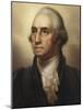 Portrait of George Washington, 1795-Rembrandt Peale-Mounted Giclee Print