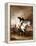 Portrait of George Washington Taking the Salute at Trenton-John Faed-Framed Premier Image Canvas