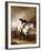 Portrait of George Washington Taking the Salute at Trenton-John Faed-Framed Giclee Print