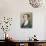 Portrait of German Composer Carl Maria Von Weber-null-Photographic Print displayed on a wall