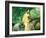 Portrait of Gillaudin on a Horse-Edouard Manet-Framed Giclee Print