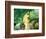 Portrait of Gillaudin on a Horse-Edouard Manet-Framed Giclee Print