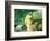 Portrait of Gillaudin on a Horse-Edouard Manet-Framed Giclee Print