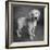 Portrait of Golden Retriever Puppy-Panoramic Images-Framed Photographic Print