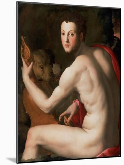 Portrait of Grand Duke of Tuscany Cosimo I De' Medici (1519-157) as Orpheus, Ca 1537-Agnolo Bronzino-Mounted Giclee Print