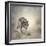 Portrait of Gray Wolf Walking-abracadabra99-Framed Photographic Print