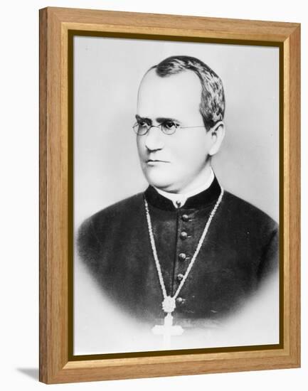 Portrait of Gregor Johann Mendel (b/w photo)-German photographer-Framed Premier Image Canvas