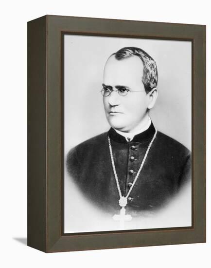 Portrait of Gregor Johann Mendel (b/w photo)-German photographer-Framed Premier Image Canvas