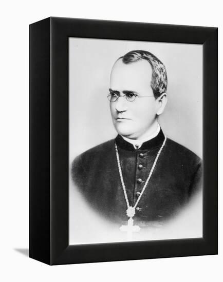 Portrait of Gregor Johann Mendel (b/w photo)-German photographer-Framed Premier Image Canvas