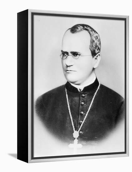 Portrait of Gregor Johann Mendel (b/w photo)-German photographer-Framed Premier Image Canvas