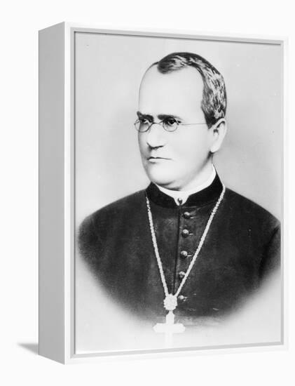 Portrait of Gregor Johann Mendel (b/w photo)-German photographer-Framed Premier Image Canvas