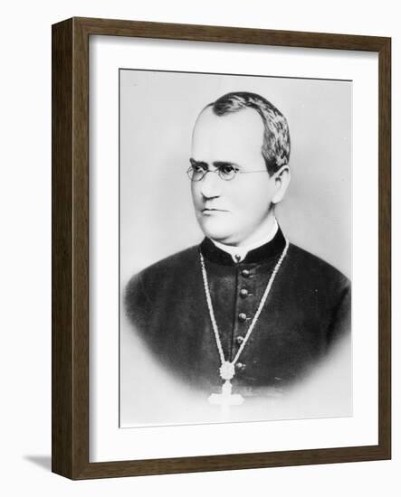 Portrait of Gregor Johann Mendel (b/w photo)-German photographer-Framed Giclee Print