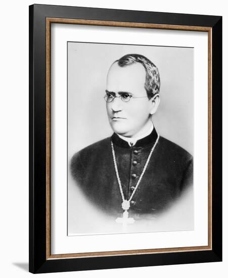 Portrait of Gregor Johann Mendel (b/w photo)-German photographer-Framed Giclee Print