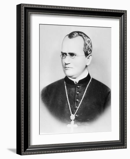 Portrait of Gregor Johann Mendel (b/w photo)-German photographer-Framed Giclee Print