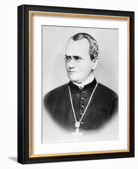 Portrait of Gregor Johann Mendel (b/w photo)-German photographer-Framed Giclee Print