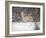 Portrait of Grey Wolf Howling in the Snow-Lynn M^ Stone-Framed Photographic Print