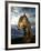 Portrait of Horse-Arctic-Images-Framed Premium Photographic Print
