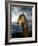 Portrait of Horse-Arctic-Images-Framed Photographic Print