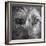 Portrait of Irish Wolf Hound Dog-Panoramic Images-Framed Photographic Print
