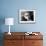 Portrait of Isaac Asimov-null-Framed Photographic Print displayed on a wall