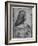 Portrait of Isabella D'Este, 1500-Leonardo da Vinci-Framed Giclee Print