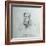 Portrait of James Delaware - a Delaware Indian-Gustav Sohon-Framed Giclee Print